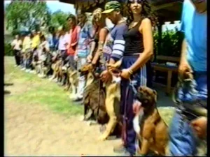 La foto rappresenta un Gruppo di 50 Proprietari Conduttori con i loro Cani alla partecipazione annuale della Gara di Obbedienza e Difesa “Dog City Competition” Organizzata nel Campo Scuola della Dog City Roma di Lorenzo Gnerucci - www.dogcity.it