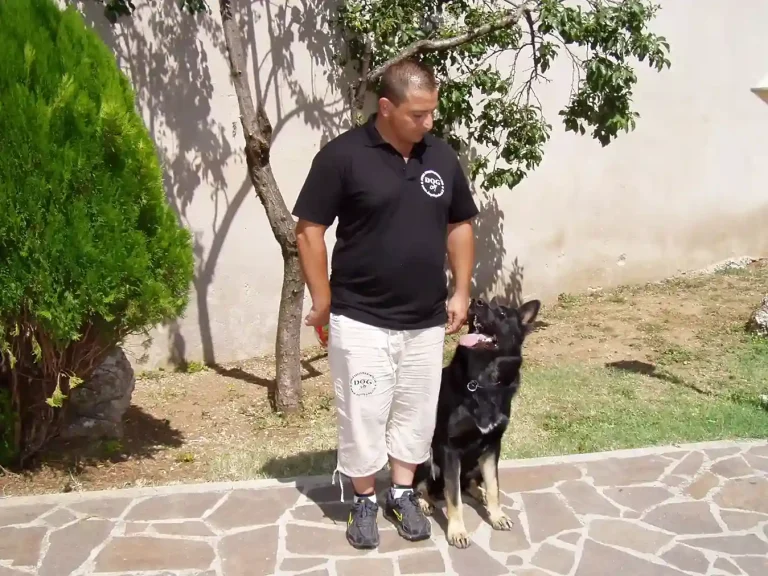 La foto rappresenta Lorenzo Gnerucci della Dog City Scuola Addestramento Cani Roma in una Lezione di Obbedienza senza Guinzaglio con il Cane affianco in posizione di Seduto/Sitz e la dimostrazione visiva dell’affiatamento l’intesa e la concentrazione di tutti e due - Tecniche Cinoagonistiche per Cani da Utilità e Difesa - www.dogcity.it