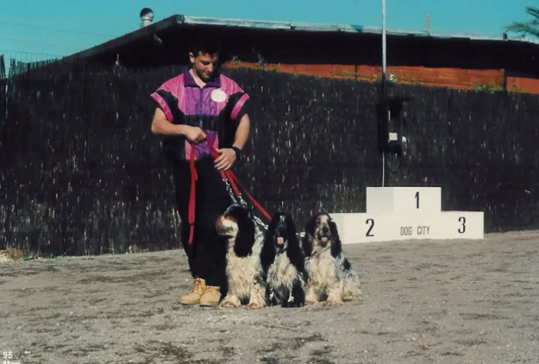 La foto rappresenta Lorenzo Gnerucci della Dog City Scuola Addestramento Cani Roma in fase di Lezione in Condotta al Guinzaglio “Speciale Trio” che significa portare e camminare con tre cani contemporaneamente insieme al guinzaglio sotto il completo controllo e in totale Sicurezza dimostrando l’alta capacità di professione specialistica come Addestratore di Cani e Istruttore Cinofilo già in quel periodo giovanissimo come da foto - www.dogcity.it