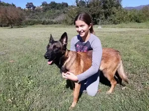 La foto rappresenta l’Interno del Campo Scuola della Settima Sede Dog City Scuola Addestramento Cani di Lorenzo Gnerucci con un Cane Pastore Belga Malinois in Obbedienza Senza Guinzaglio - www.dogcity.it